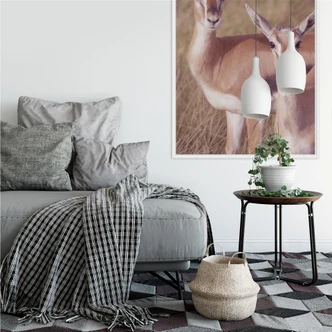 Wallprint W - Springböcke 