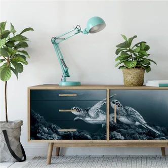 Wallprint Narchuk - Zwei Schildkröten auf Reisen 