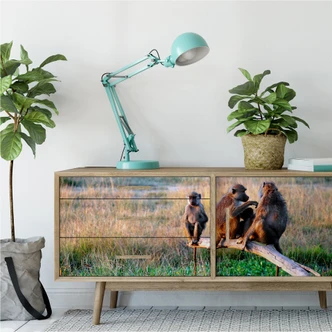 Wallprint W - Affenbande - Panorama 