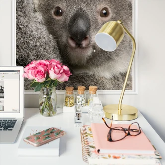 Wallprint W - Cuddly Koala 