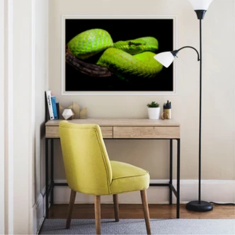 Wallprint Hakonsen - Die grüne Pit-Viper 