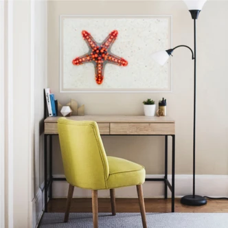 Wall Print Star Fish 