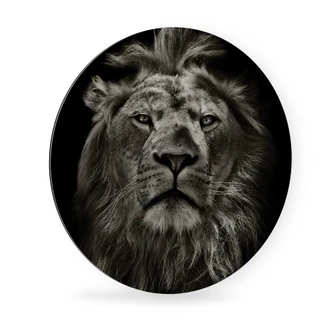 Alu-Dibond rond - Leeuw 
