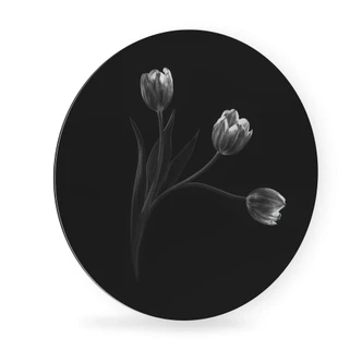 Alu-Dibond rond - Pan - Tulpentrio - rond 