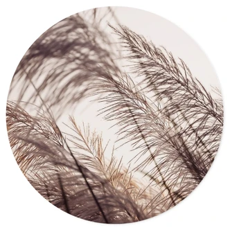 Wandtattoo Gräser in Pastell - Rund 