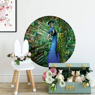 Zelfklevende Muurcirkel Pauw Zelfklevende Muurcirkel Pauw