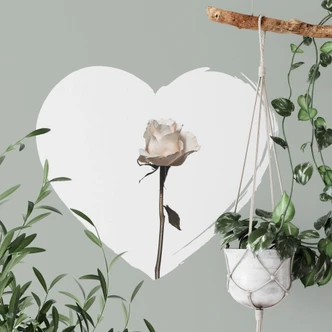 Muursticker White Rose in Heart 