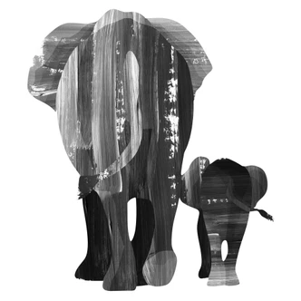 Muursticker Goed Blauw - Olifantenfamilie 