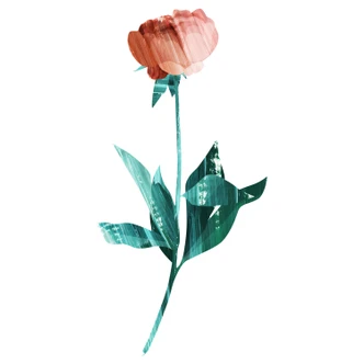 Wandtattoo Goed Blauw - Die Rose 