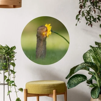 Muursticker Rond Dick van Duijn - Eekhoorn met Bloem Muursticker Rond Dick van Duijn - Eekhoorn met Bloem