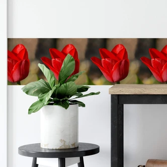Tulipan 