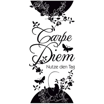 Adesivo murale - striscia carpe diem 