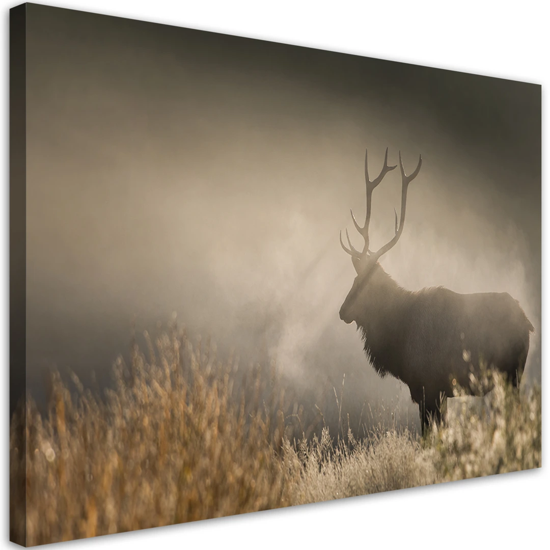 Fotobehang - Vlies Behang - Hert bij de Bomen in het Bos - 368 x 254 cm