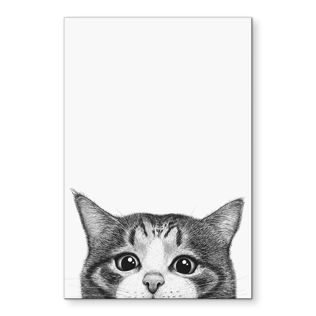 Schattige Slapende Kat - Zwart-wit Lijntekening - Maak je