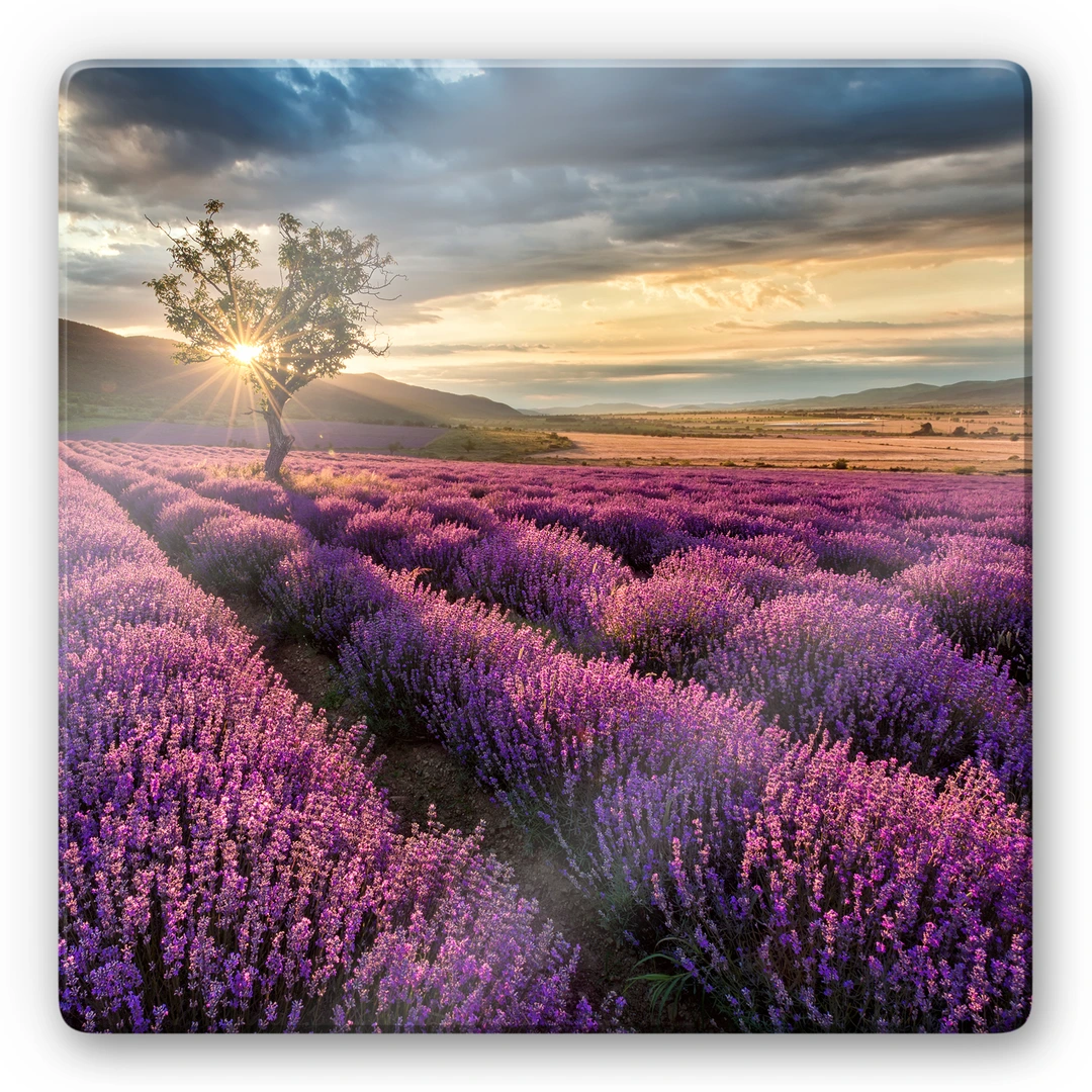 Tableau Toile XXL – Lavande Bois 3D – Muralo – Déco Murale Fleurs