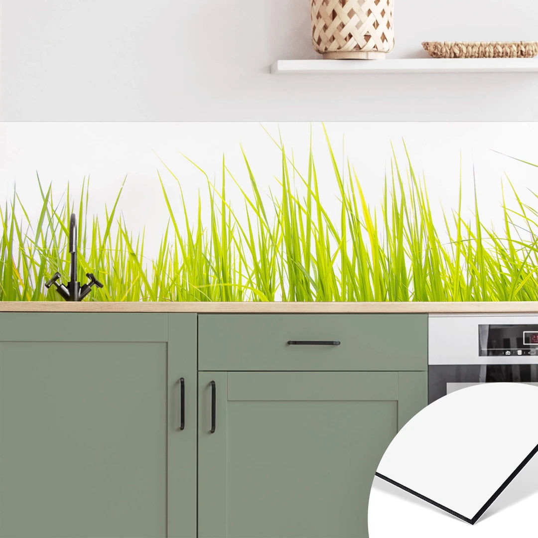 Crédence Cuisine Verre Tulup – 120x60 Cm, Motif Nature Forêt, Moderne