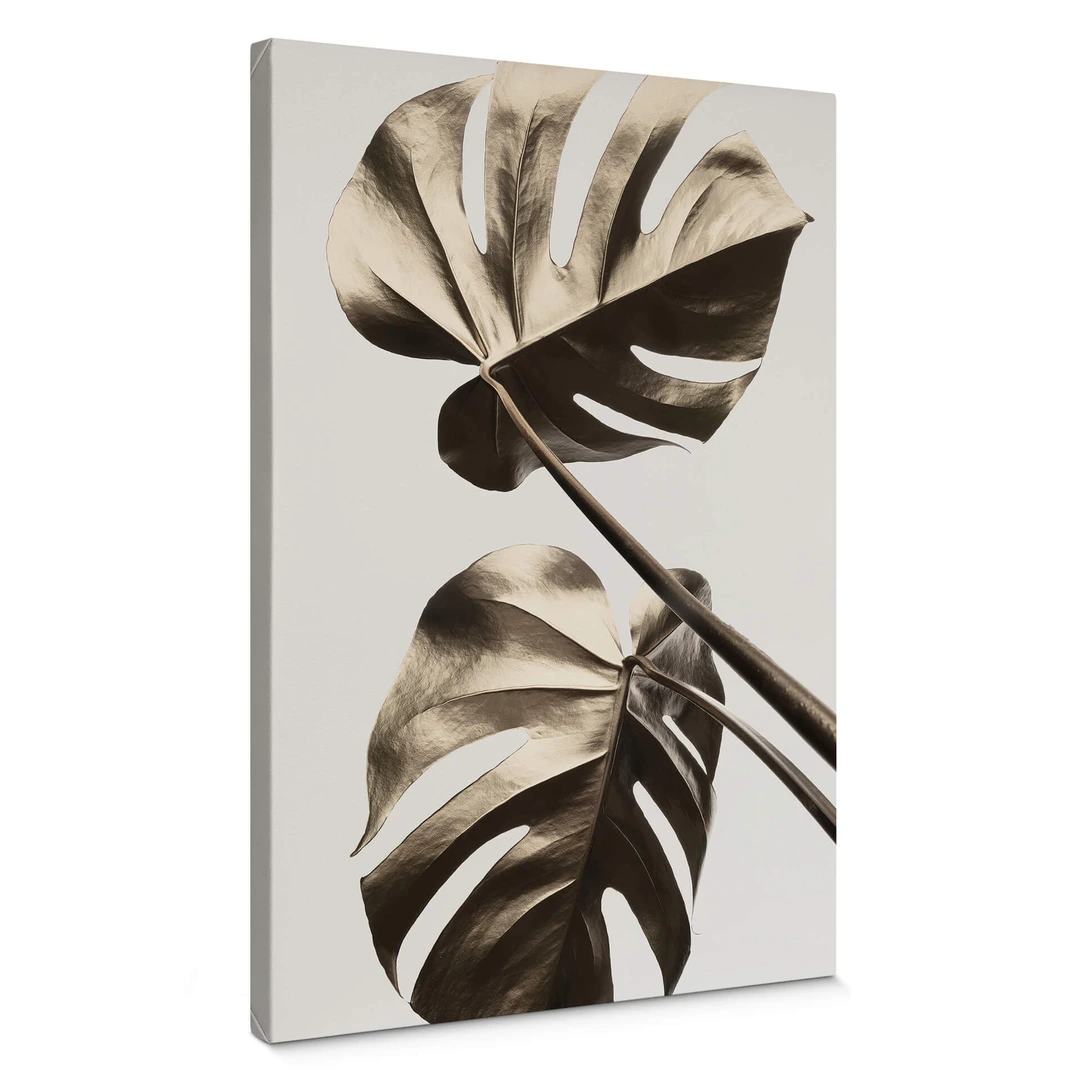 philodendron painted Philodendron 'Painted Lady'
