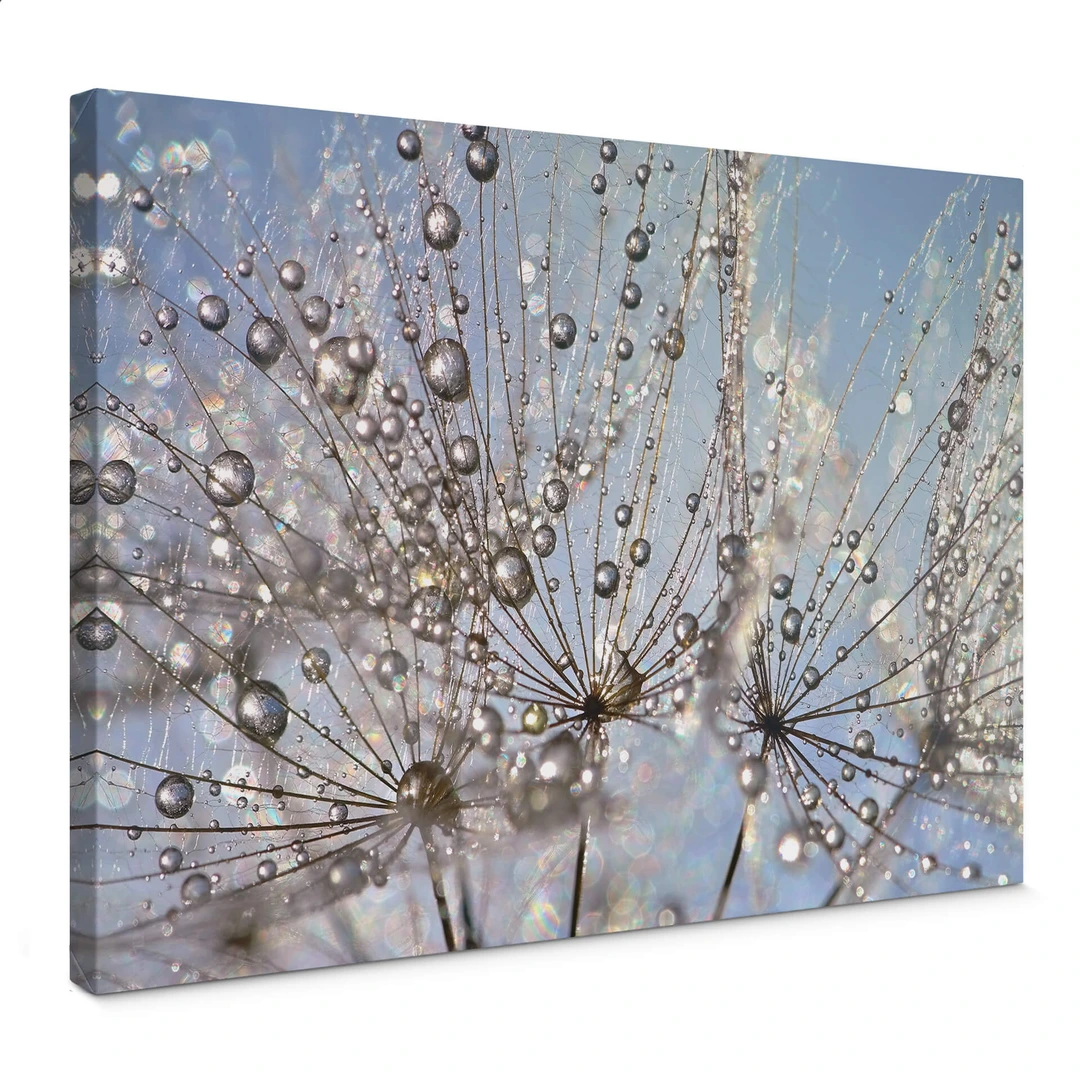 Wandbild 150x50 Cm Pusteblume Löwenzahn - Leinwandbild Auf Keilrahmen, Wassertropfen Motiv, Fertig Aufgezogen