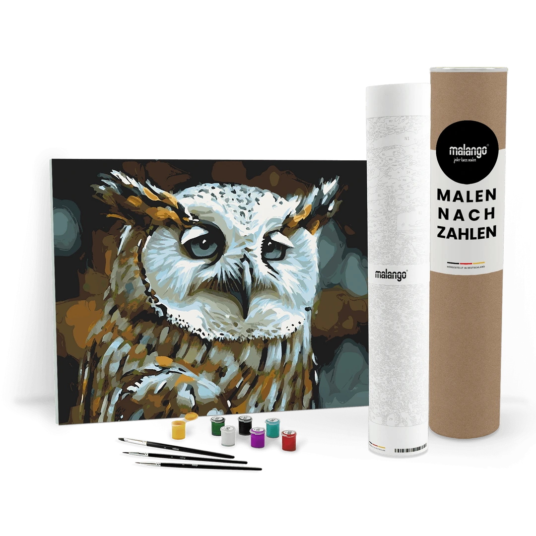 Wowdecor Malen Nach Zahlen Kit - Eule Mit Früchten, 40x50 Cm Mit Rahmen | DIY Geschenk Für Erwachsene & Kinder, Home Dekoration