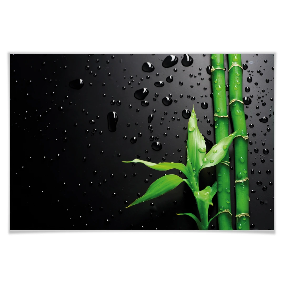 Poster Bamboo over Black | wall-art.de