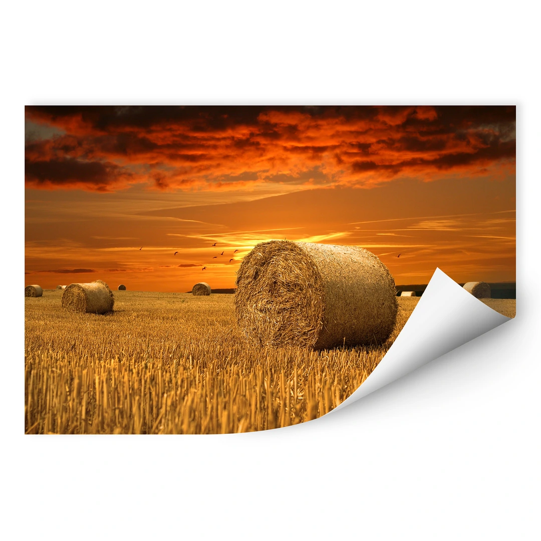 Poster autocollant W Bottes de Paille