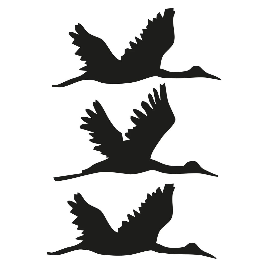 Adesivo Murale Uccelli In Volo Dalla Piuma | Stickers Murali
