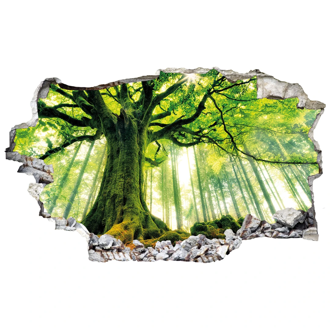 Papier Peint 3D Autocollant - Forêt M6098 - Amovible Et Adhésif