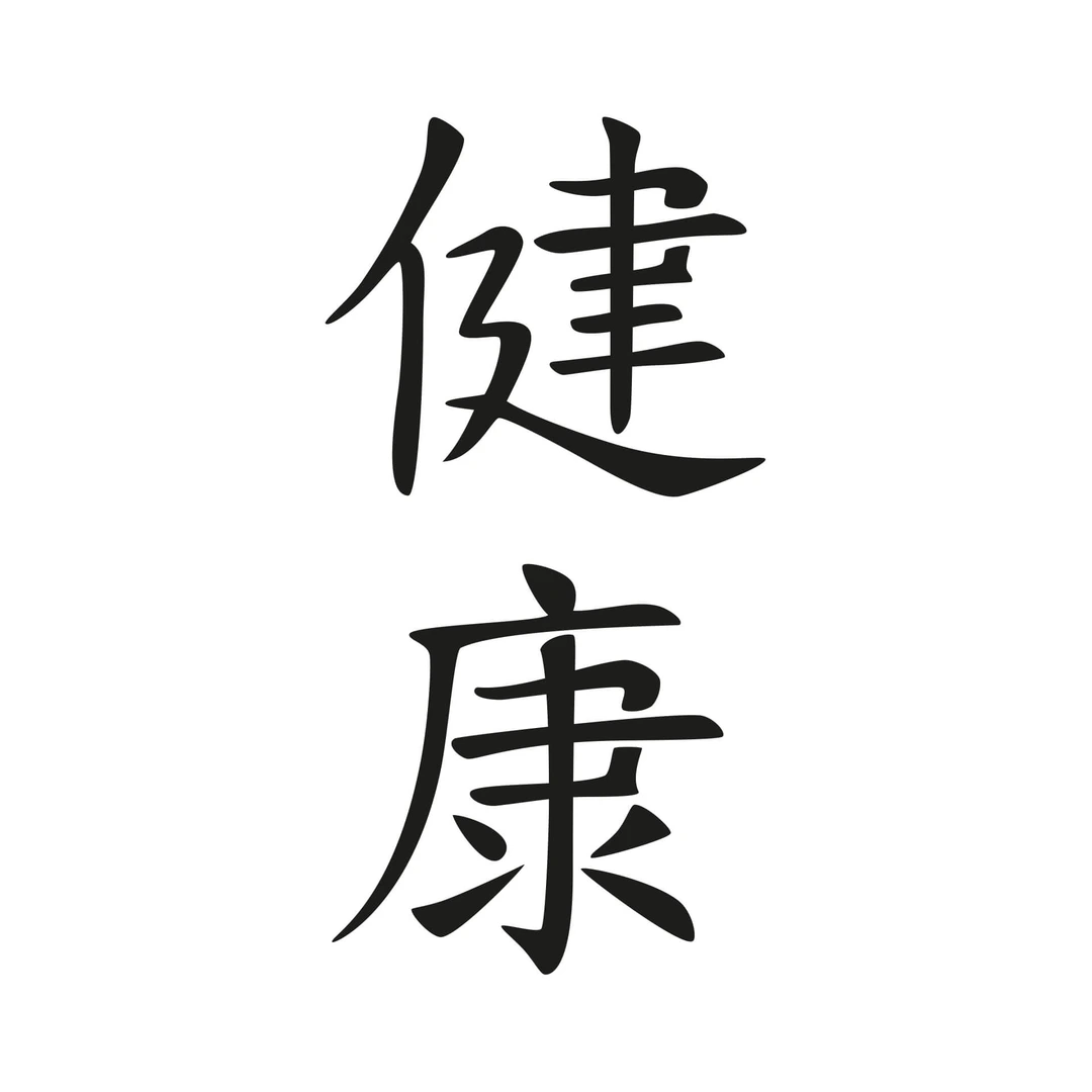 A4 Schablone „Harmonie“ Japanisch – Für Textil, Wand & Deko – Wiederverwendbarer Kunststoff