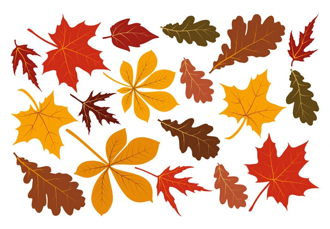 UFYTT Fensterbilder Herbst - 121 Sticker, Wiederverwendbar, Für Fensterdeko Zu Thanksgiving & Herbstfesten