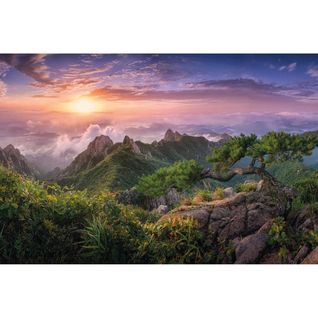 Safari Wild Animals Wall Mural Wallpaper