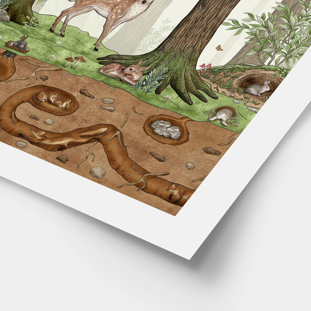 poster-04-papier-detail-kikki-