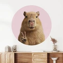 Des murs qui font briller les yeux des enfants