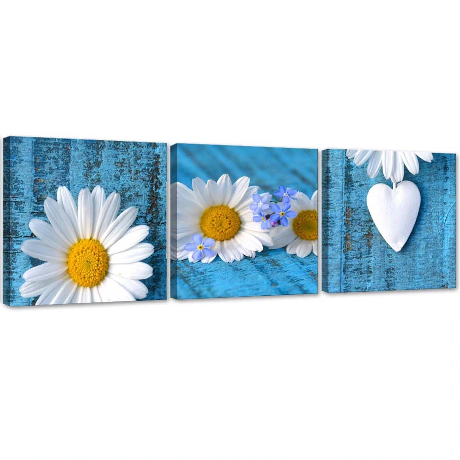 Leinwandbild „Gänseblümchen“, 30,5 X 40,6 Cm – Fertig Aufgezogen, Lebendige Farben, Moderner Wandschmuck