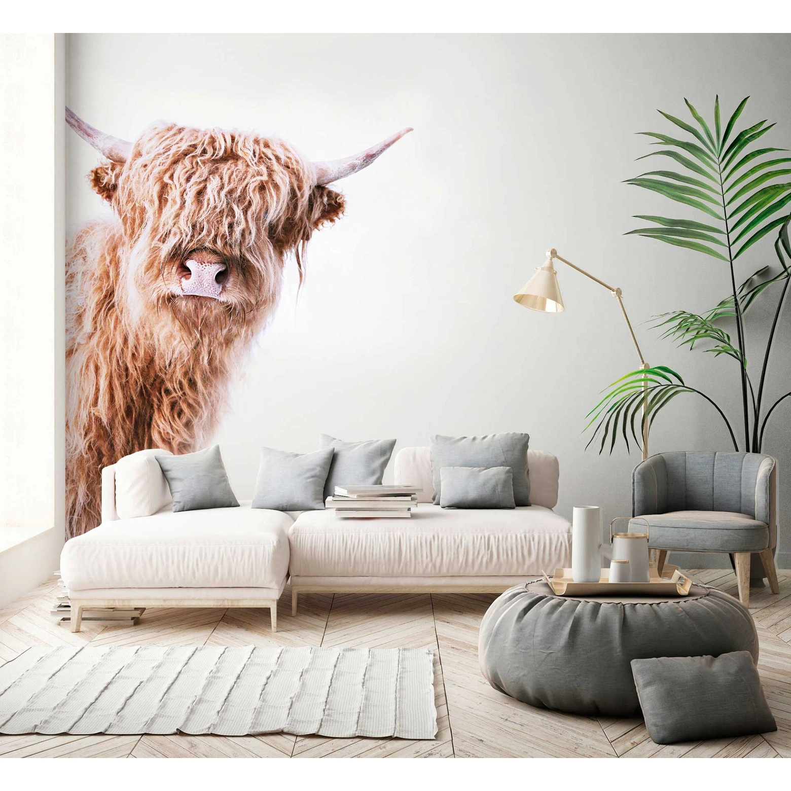 Faszinierend Fototapete Highland Rind Bilder
