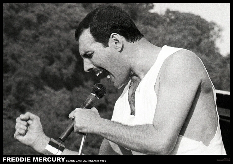 Poster Freddie Mercury - Slane castle, Ireland 1996, Plakat (84,1 x 59,4 cm) 