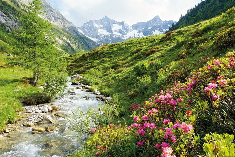 Poster Alps - Nature and Mountains, Plakat (120 x 80 cm) 