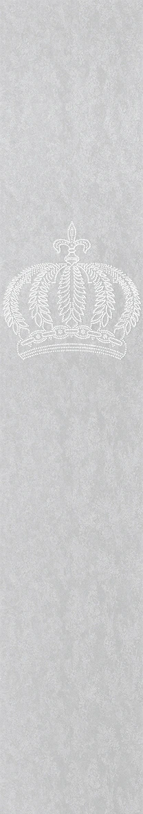 Vliestapete Krone, Betonoptik Metalloptik Modern glänzend in Silber  