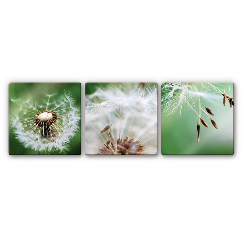 Traveling Dandelion Seeds (3 parts) - Glass Art 