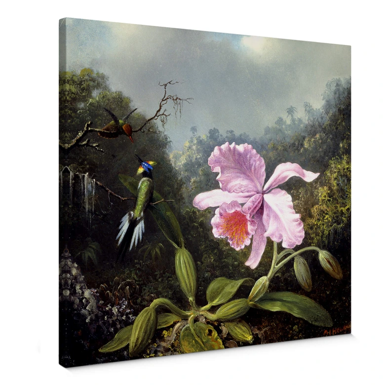 Leinwandbild Heade - Stillleben mit Orchidee und Kolibris 