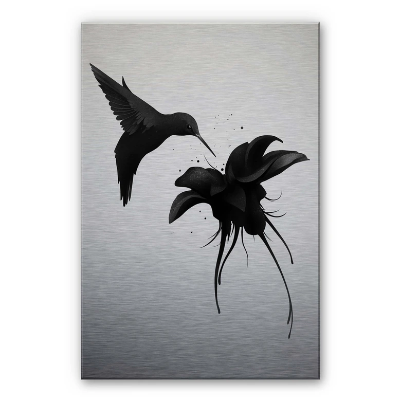 Alu-Dibond Zilver effect - Ireland - Kolibrie 