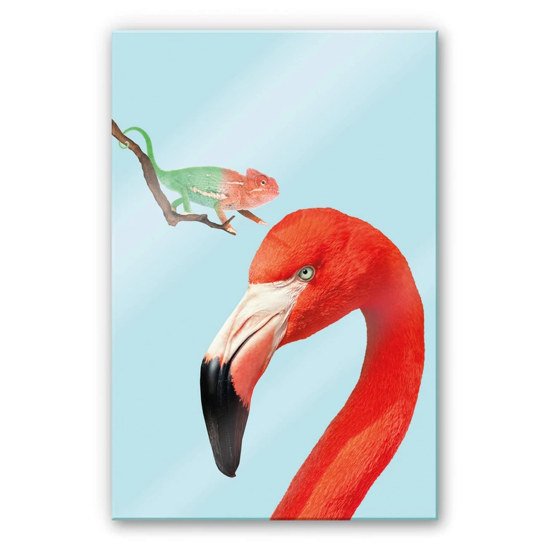 Acrylglasbild Loose - Colorful Friends 