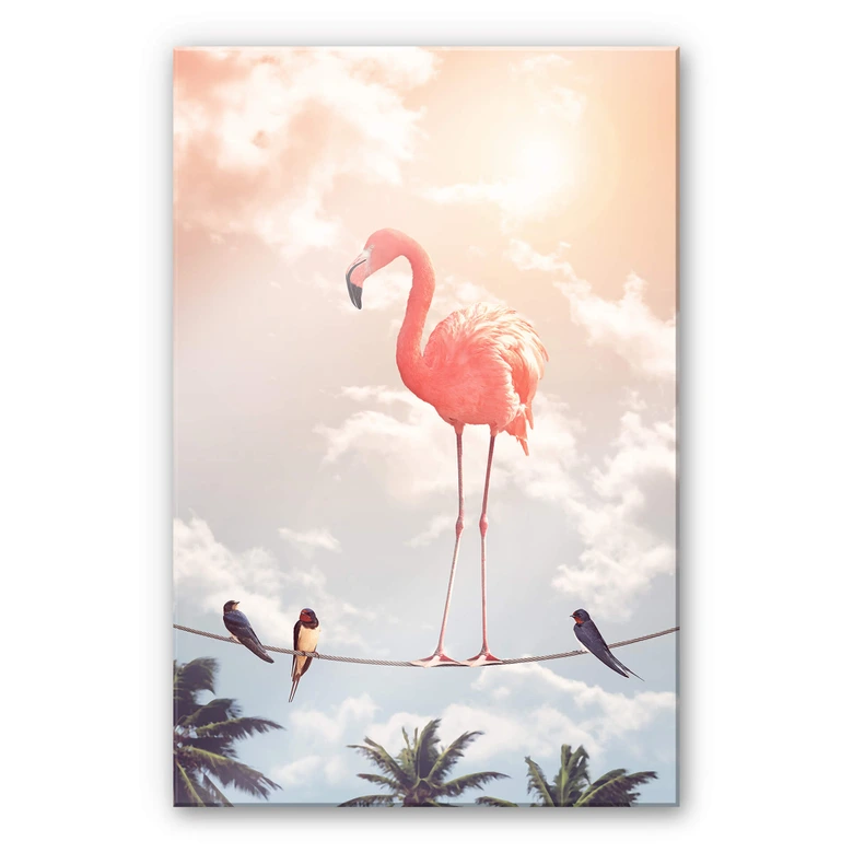 Acrylglasbild Loose - Flamingo and Friends 