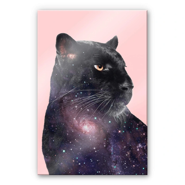 Acrylglasbild Loose – Galaxy Panther 