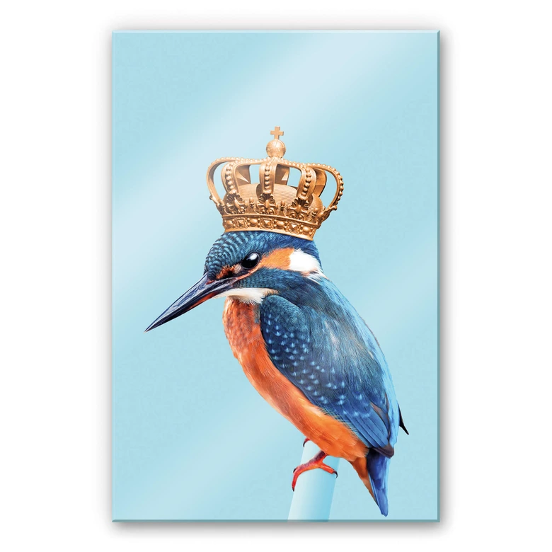 Acrylglasbild Loose - Kingfisher 