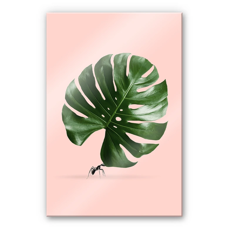 Acrylglasbild Loose - Monstera Ant | wall-art.de