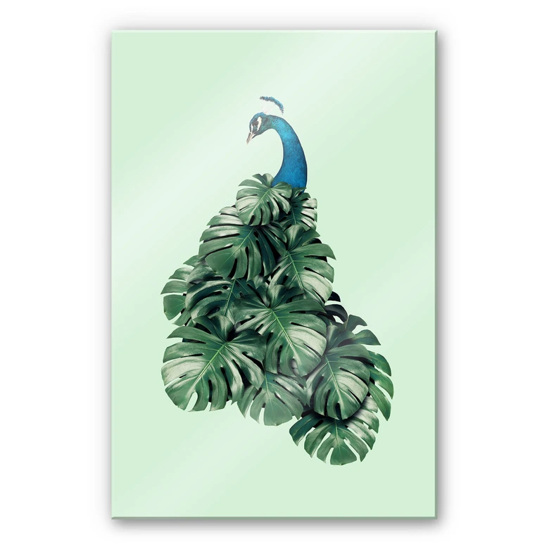 Acrylglasbild Loose - Monstera Bird 