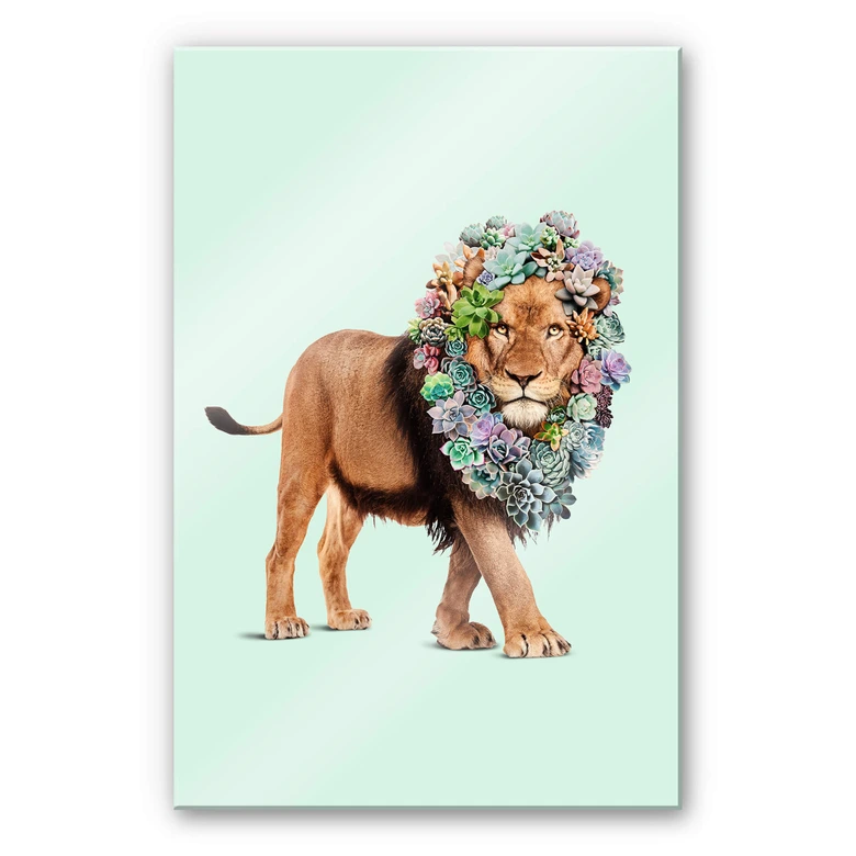 Acrylglasbild Loose - Succulent Lion 