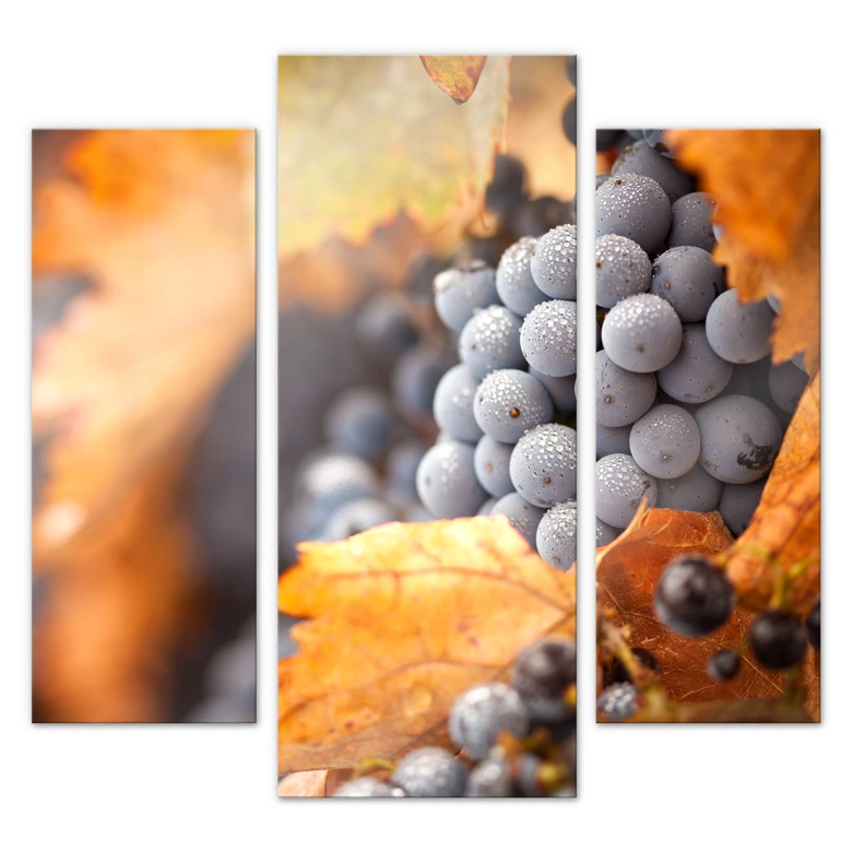Tableau en verre acrylique - Vin en automne (3 parties) 