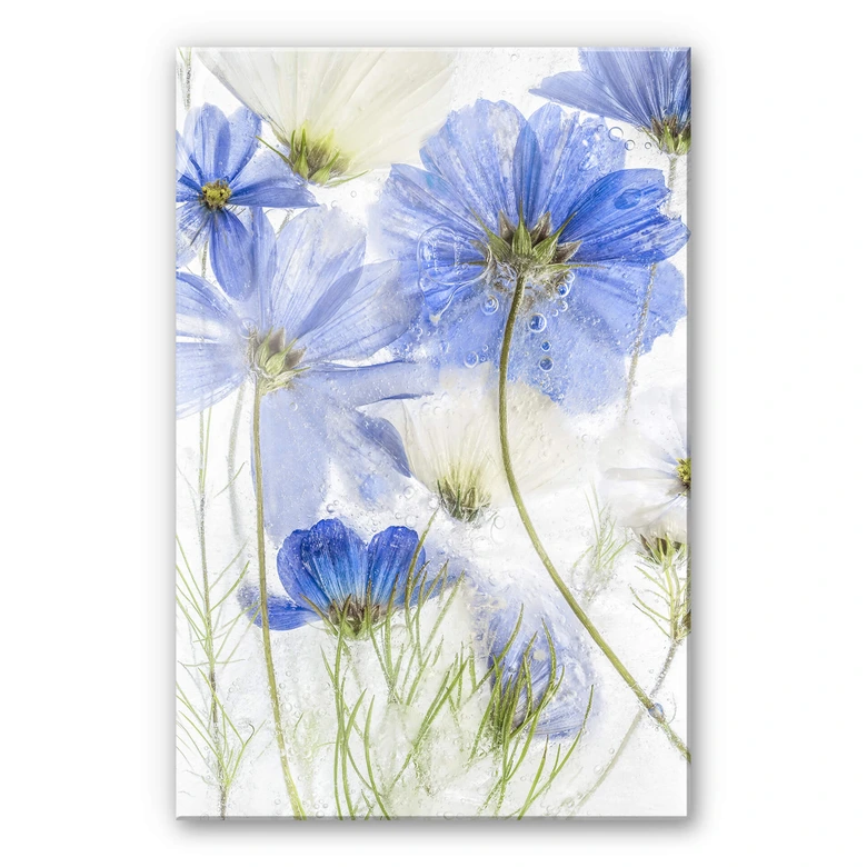 Acrylglasbild Disher - Blue Frozen 