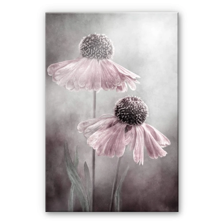 Tableau en verre acrylique Disher - Duo rose 